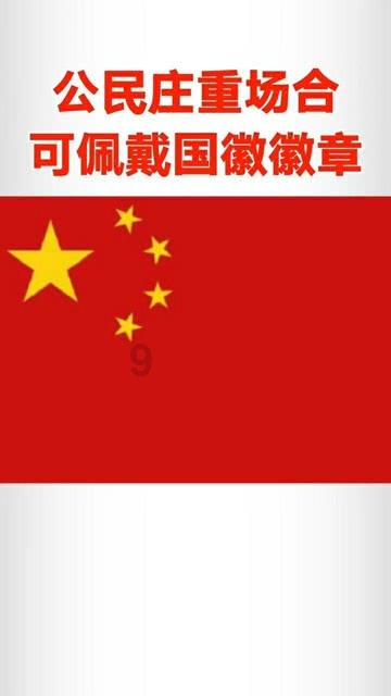 让动物飞一会